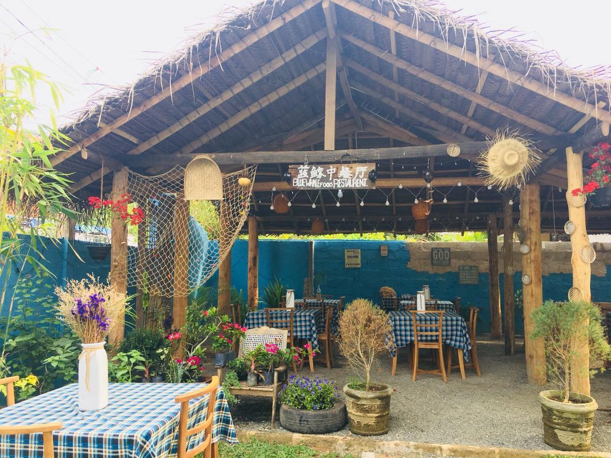 Blue Whale Holiday Hotel Mirissa Exterior photo