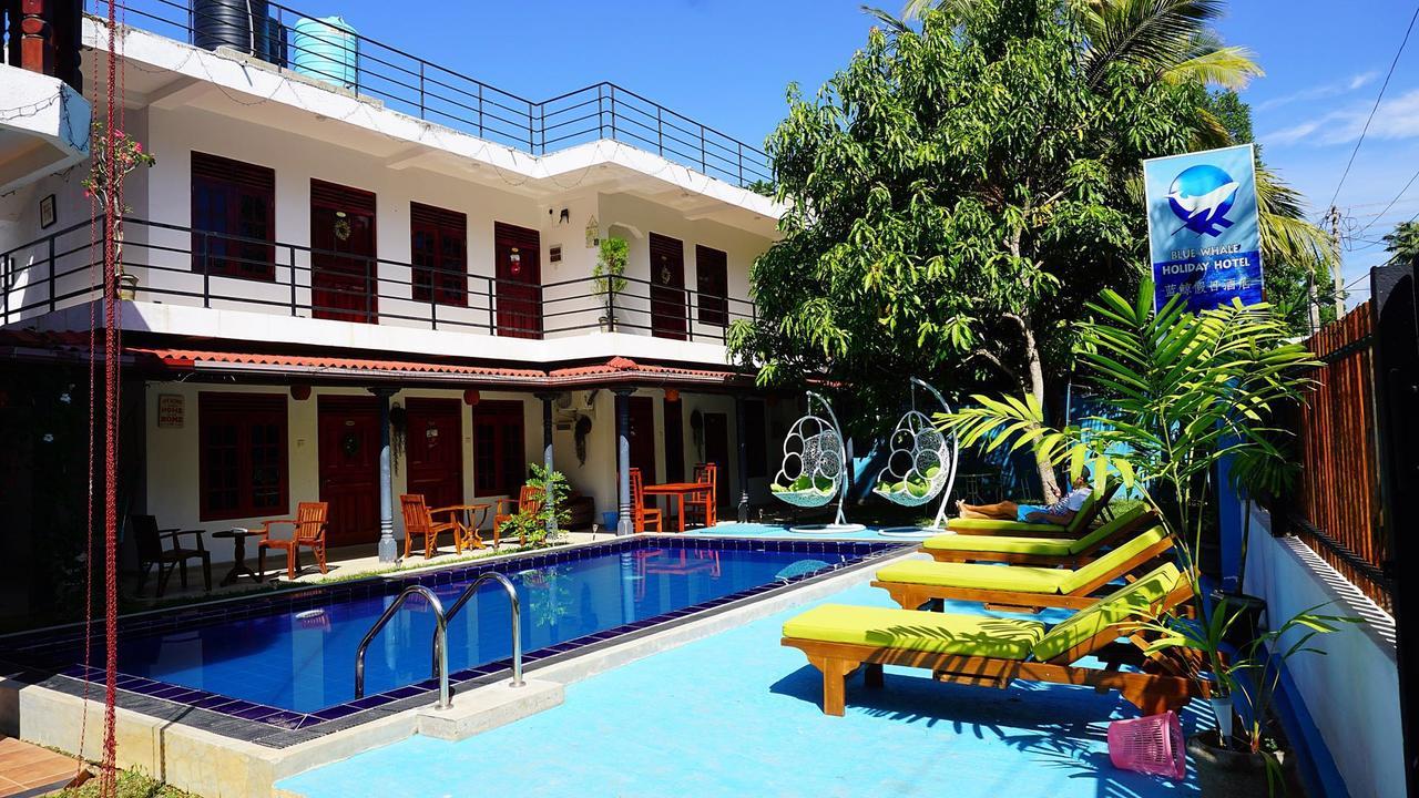 Blue Whale Holiday Hotel Mirissa Exterior photo