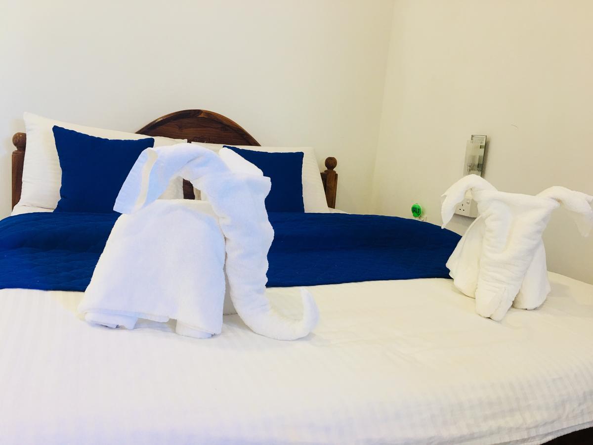 Blue Whale Holiday Hotel Mirissa Exterior photo