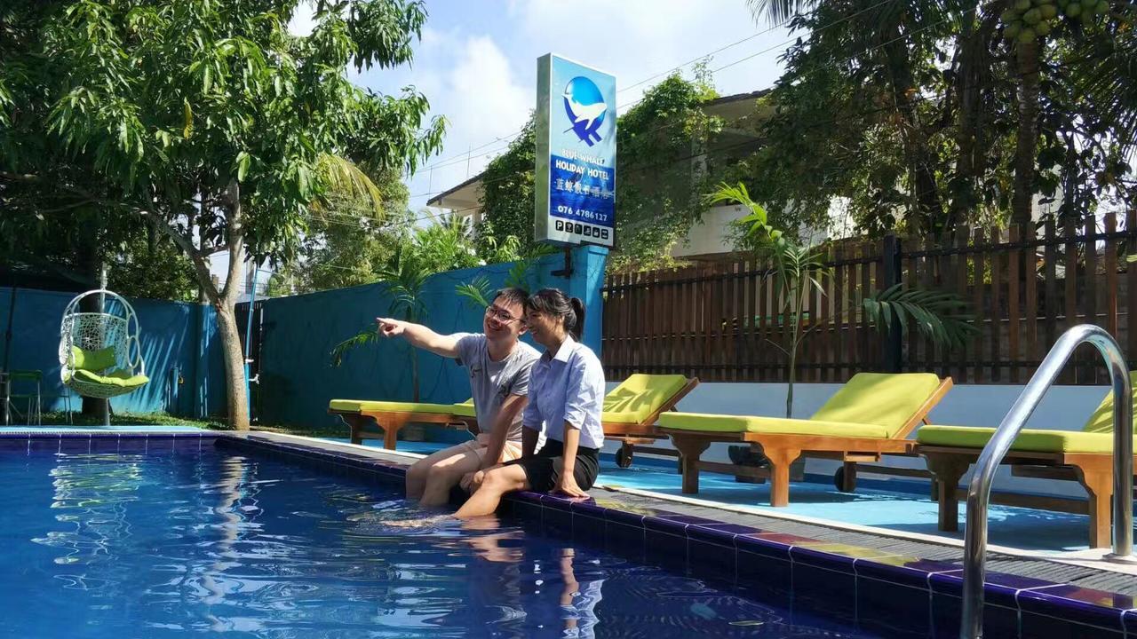 Blue Whale Holiday Hotel Mirissa Exterior photo