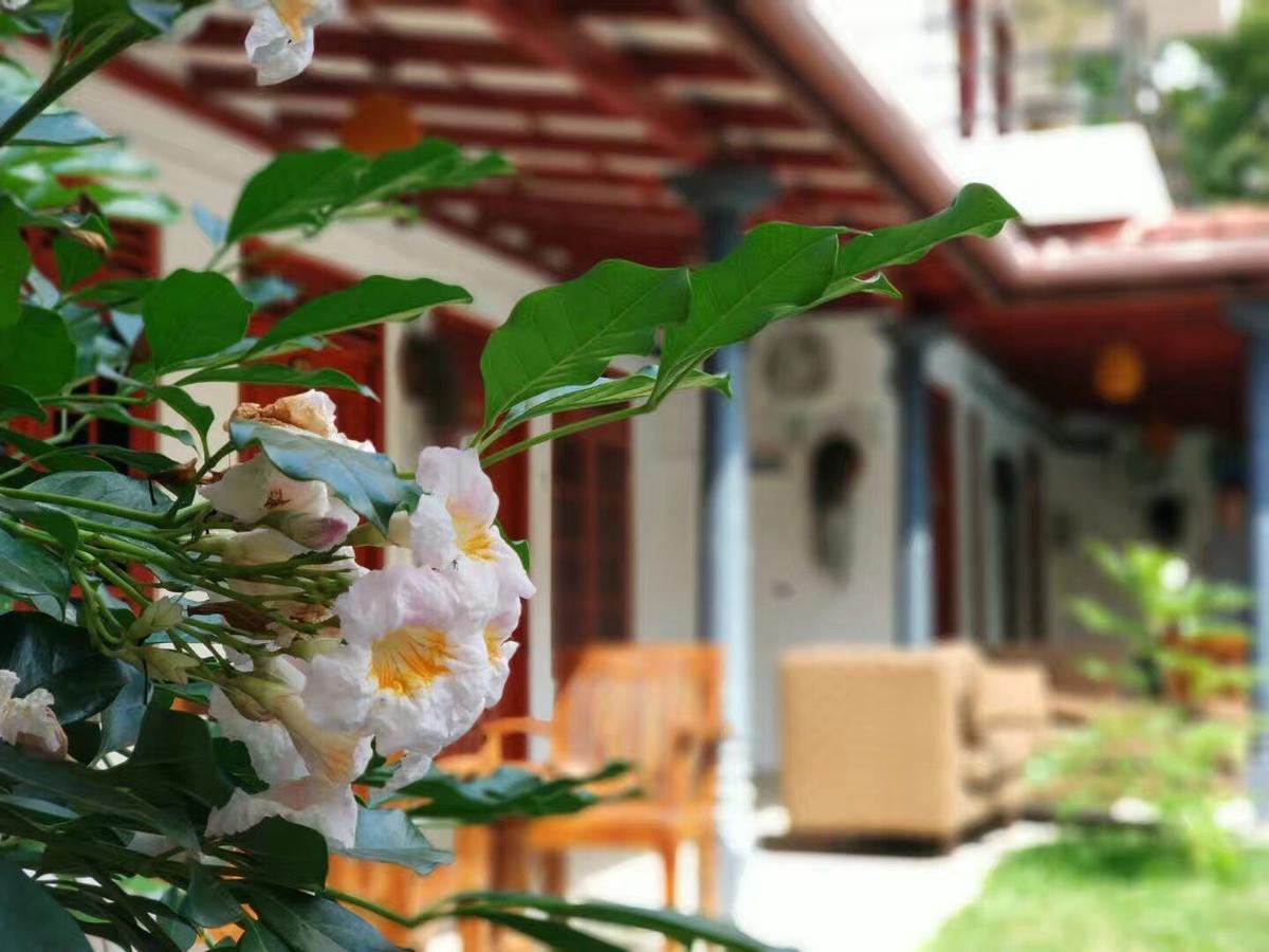 Blue Whale Holiday Hotel Mirissa Exterior photo