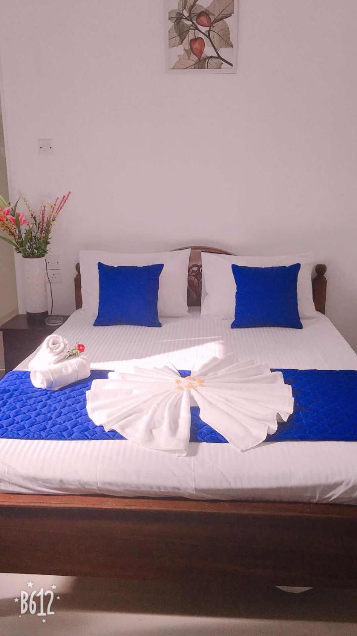Blue Whale Holiday Hotel Mirissa Exterior photo