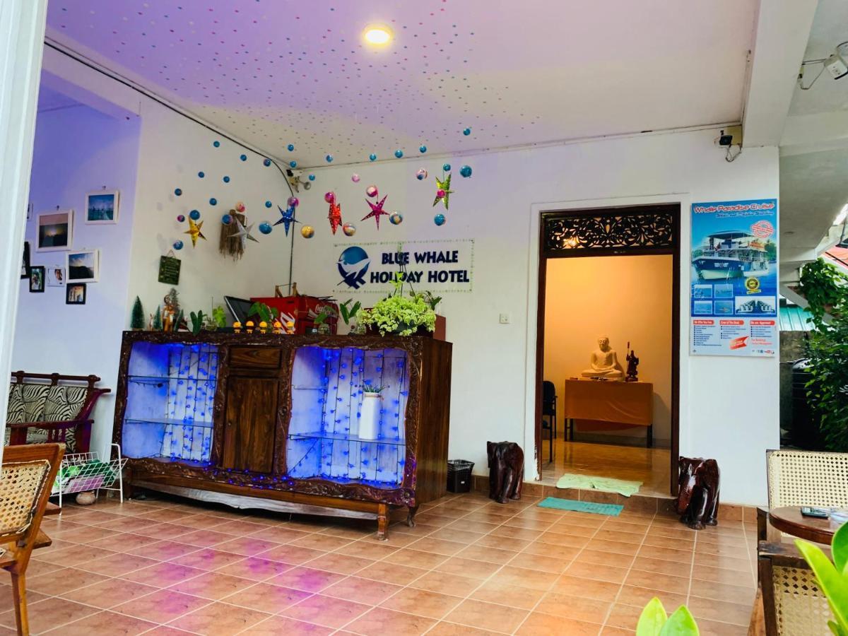 Blue Whale Holiday Hotel Mirissa Exterior photo