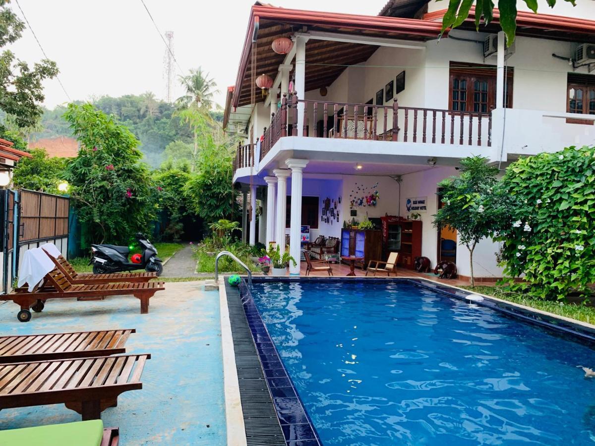Blue Whale Holiday Hotel Mirissa Exterior photo